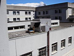 robbery IMGP5024.JPG